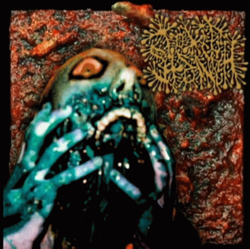 Toxic Stench : Ribbed for Her Torture